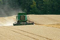 Mähdrescher in Aktion